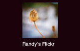 Randy's Flickr